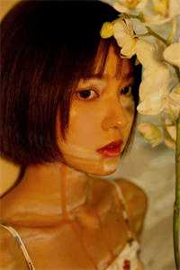 红楼：曹贼精品选集