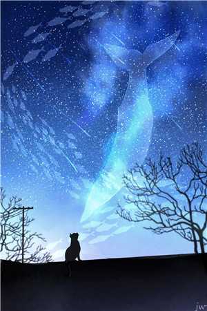 风轻拂他落寞眼眸质量好文