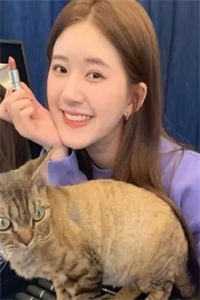 长夜终尽，我将自由完结