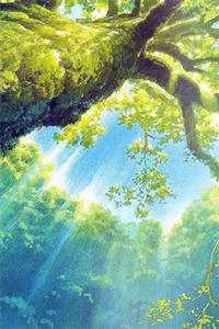 坠入朝雪暮云间连载