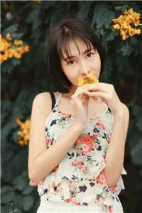 南港有雪寄迟迟畅销巨著