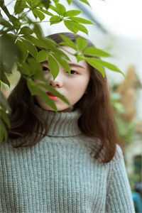 雪域长冬全章节阅读