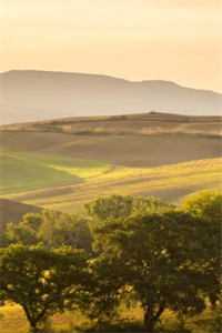 被投入畜生道后，偏袒假千金的家人们悔疯了小说