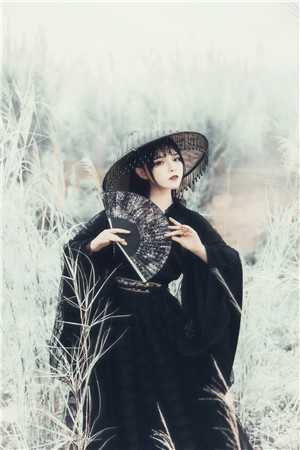 和离后，前夫死对头非要娶我小说免费