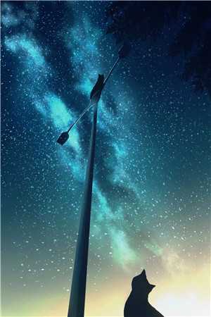 囚笼外是碧海蓝天列表