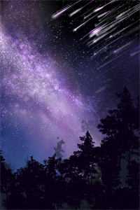 楼台高悬映月小说大结局