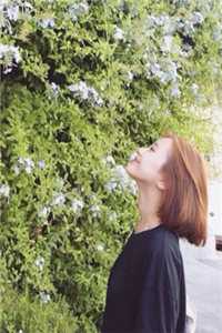 人在神雕，黄蓉成了我娘子后续+结局