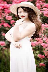 雾里看花又见你笔趣阁