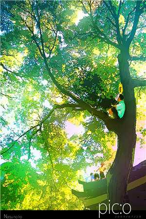 心间有座岛孤悬薄星穗沈容州大结局