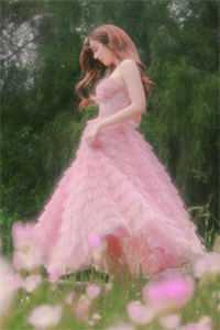 我心也曾逐月华最新章节