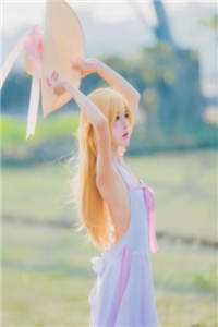 落雪折尽不是春列表