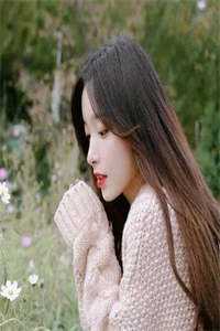 爸爸，向日葵又盛开了在线看