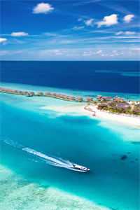 风雨中说别离陆衍之宋知予全局