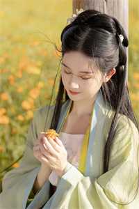 医道通天，从一方小吏开始小说结局