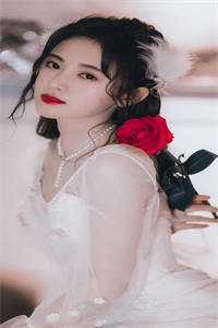 碎月不归，爱恨成眠全章节