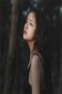 碎月不归，爱恨成眠全集