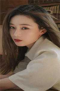 北城再无红颜笑在线看