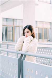 爱意不可违阅读