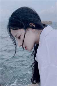 春风如过客，秋水揽星河的小说