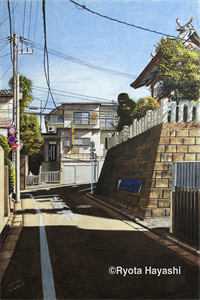 昨夜离港，灯火璀璨免费阅读