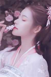 谁与明月共度韶华质量好文