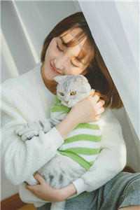 心间有座岛孤悬小说免费