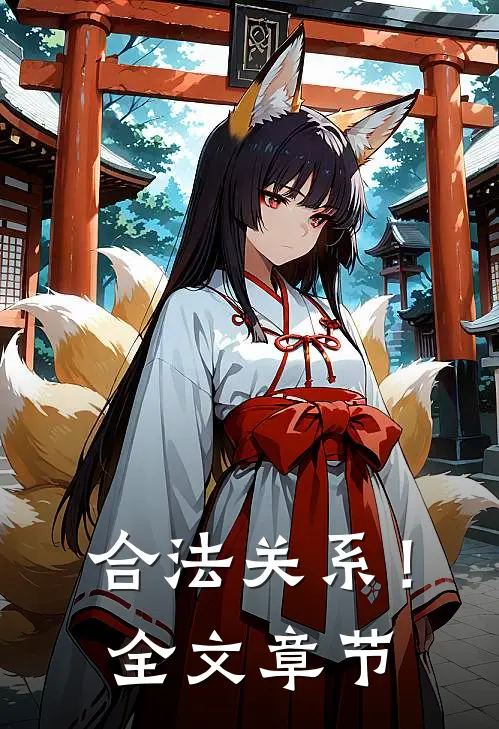 合法关系!全文章节概括