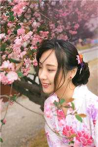 心如枯木不等春秋全文阅读最新