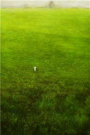 上京寻亲，被疯批权臣盯上了全文+后续