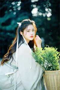 雪烬辞故人后续+无弹窗