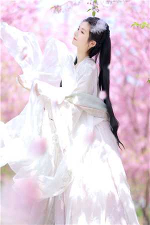 相思不及明月沈庭羽谢晚晚大结局