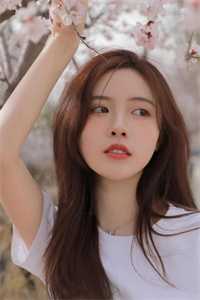 春风如过客，秋水揽星河精品推荐