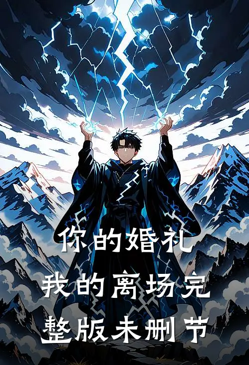 你的婚礼,我的离场完整版未删节