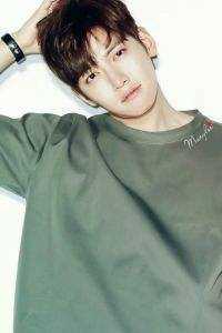 丫鬟死遁后，权臣揣崽追妻火葬场精修版