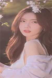 红楼：曹贼全局