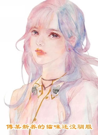 往后山河皆为你未删节